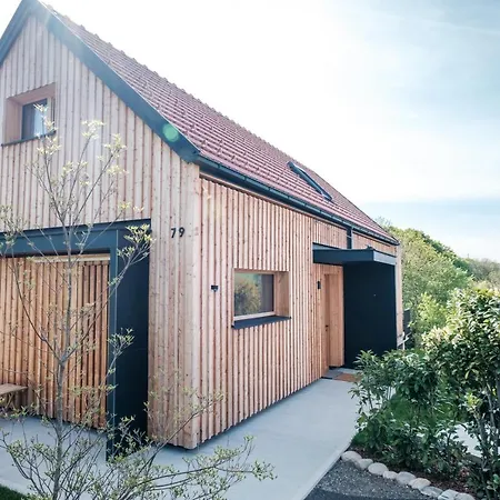 Greith79 * 绍萨尔地区基策克